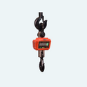 Siyaram 10 Ton x 1kg Ultra Heavy-Duty Crane Scale | Dual Battery, LED Display, Remote Operated | Built for Steel Plants, Scrap Yards, and Factory Giants
